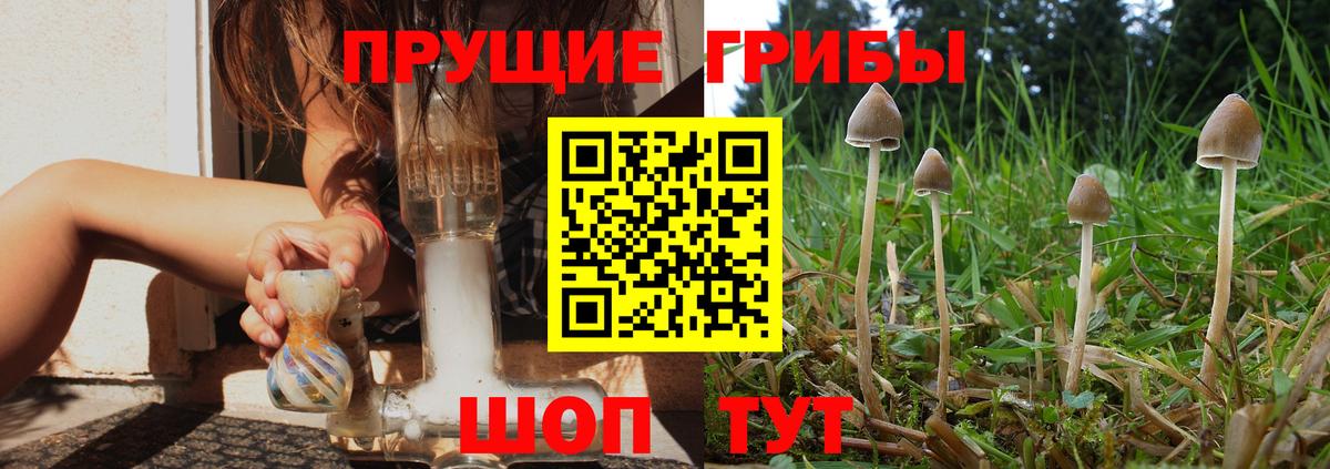 Людиново  Галлюциногенные грибы мицелий  Псилоцибиновые грибы Magic Shrooms  наркотики  Вход с VPN 
