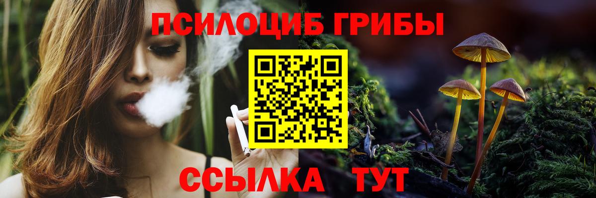 Псилоцибиновые грибы мицелий Людиново